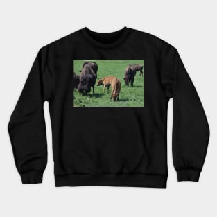 Bison Crewneck Sweatshirt